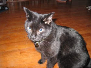 Monty